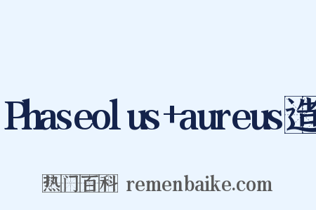 Phaseolus+aureus造句是什么意思的图片